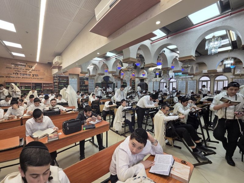 באדיבות המצלם