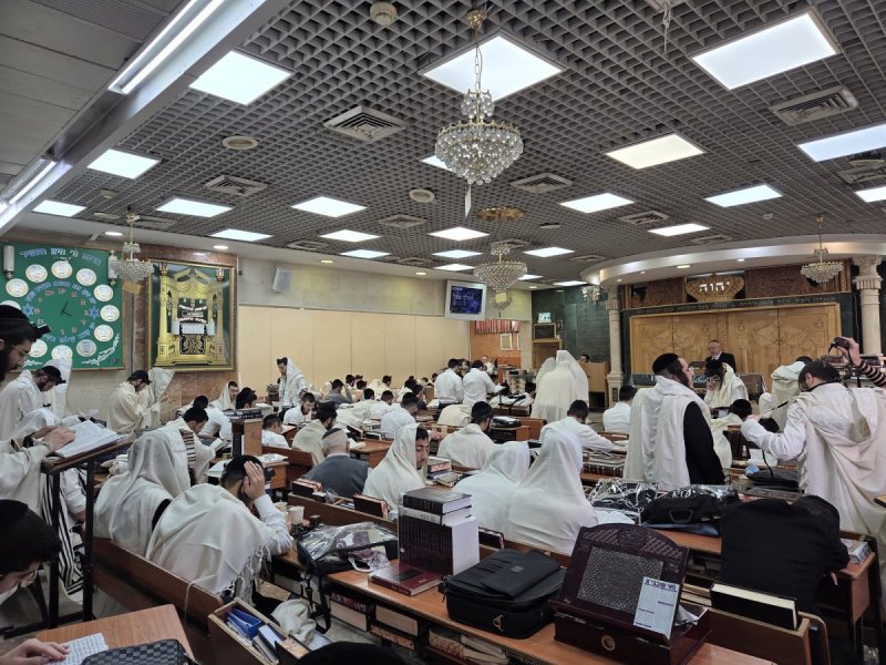 באדיבות המצלם