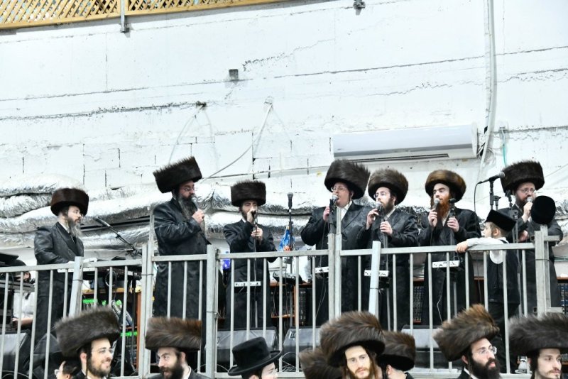 שוקי לרר