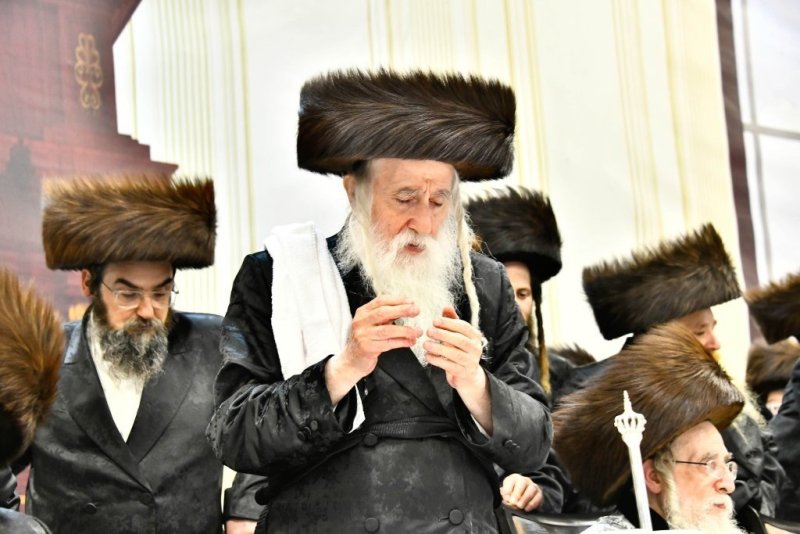 שוקי לרר