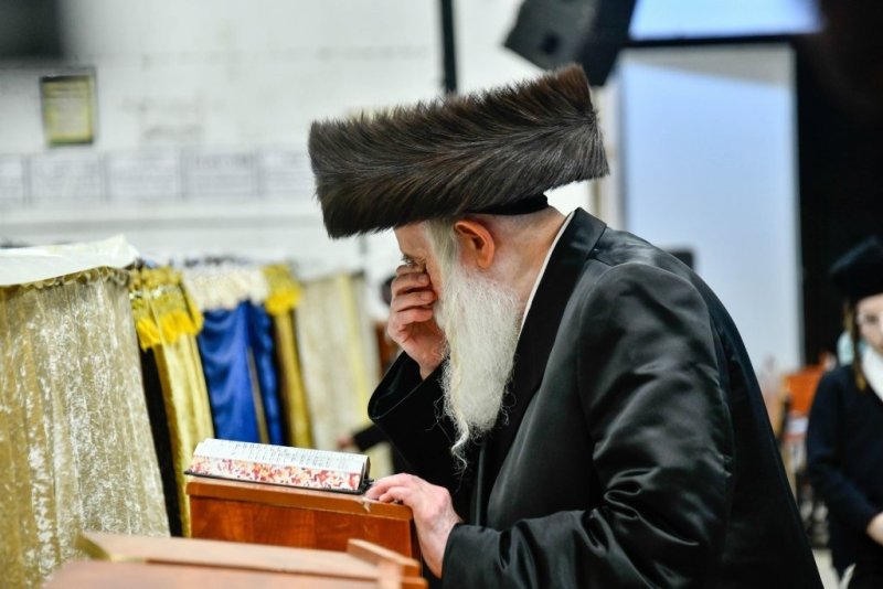 שוקי לרר