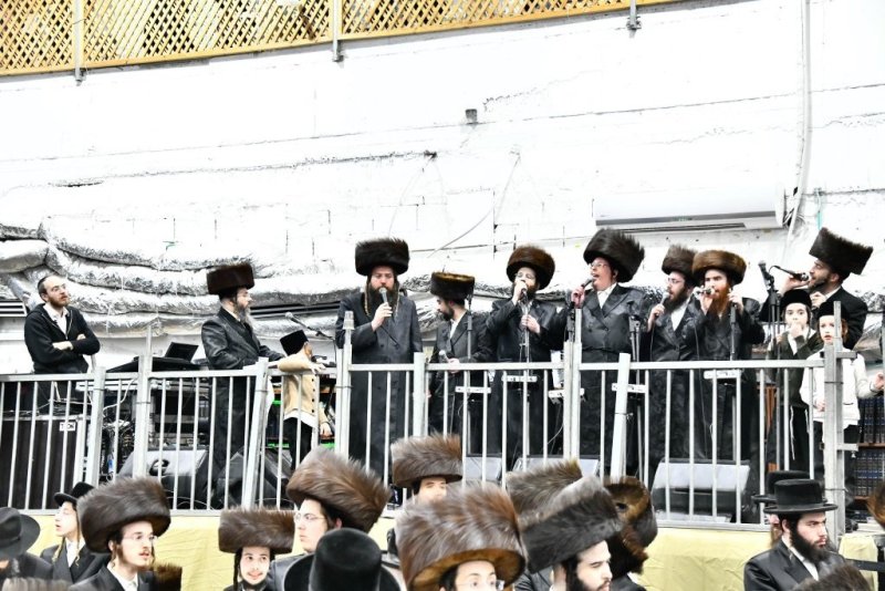 שוקי לרר
