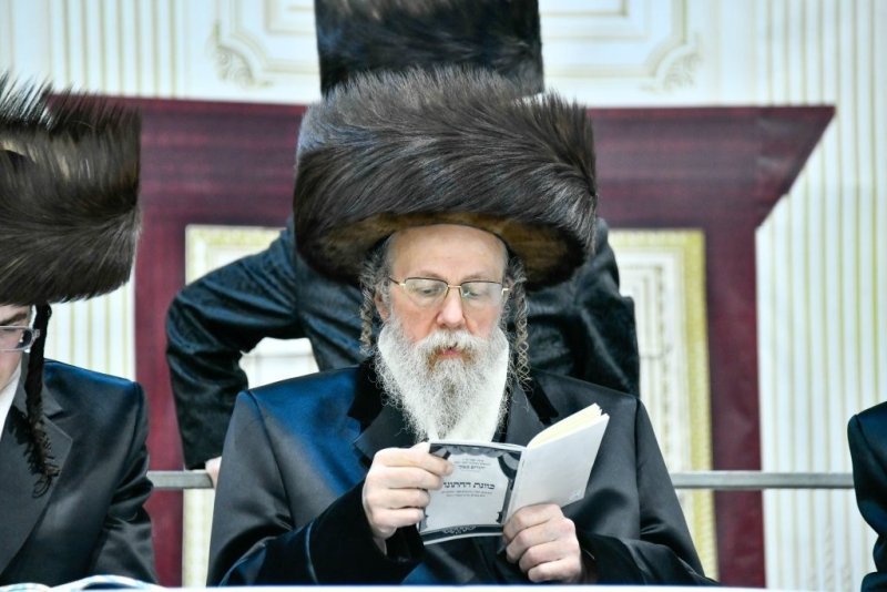 שוקי לרר