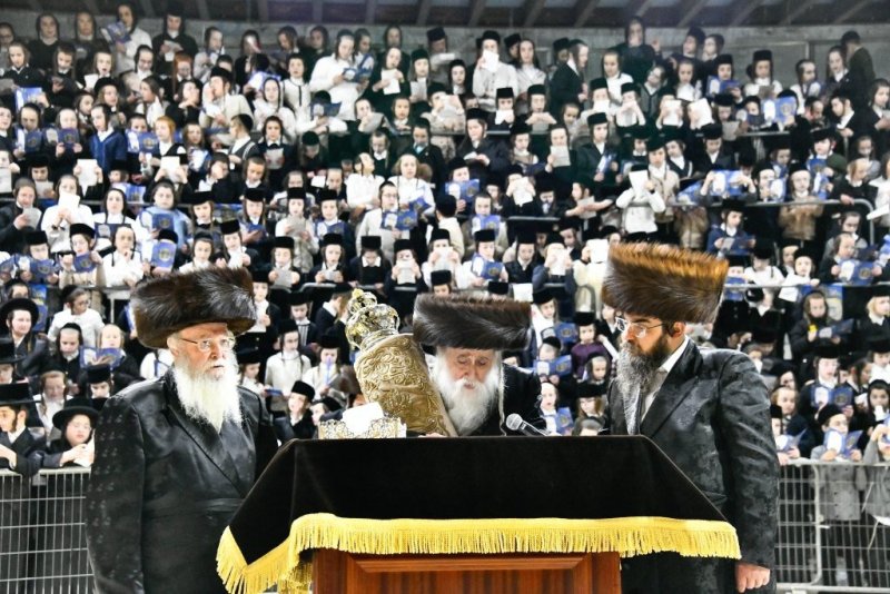 שוקי לרר