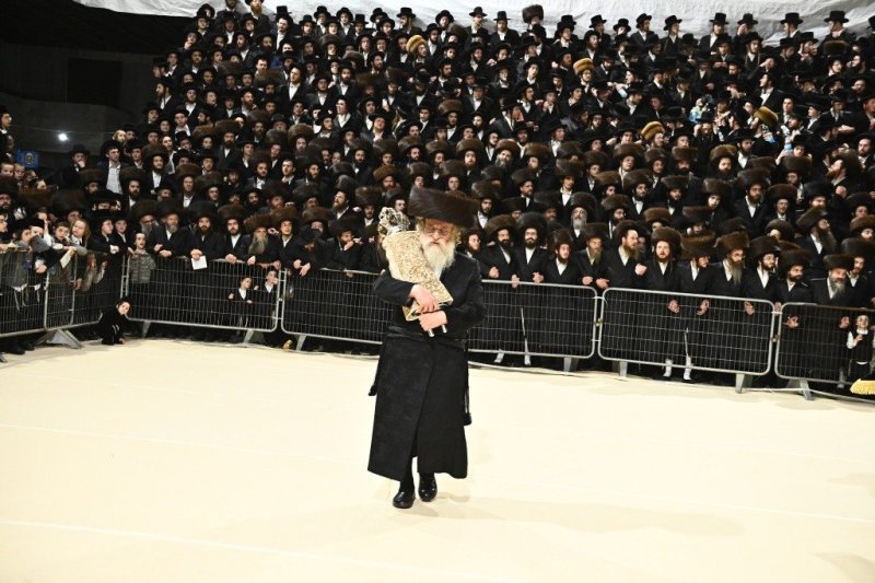 שוקי לרר