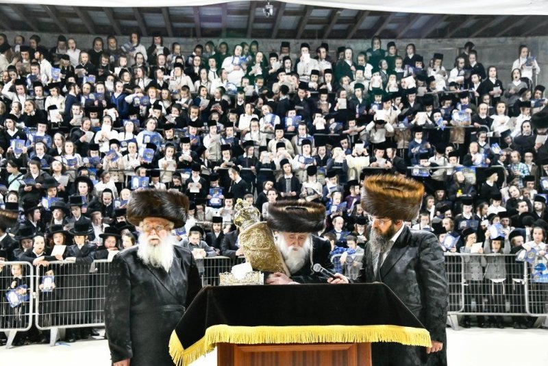 שוקי לרר