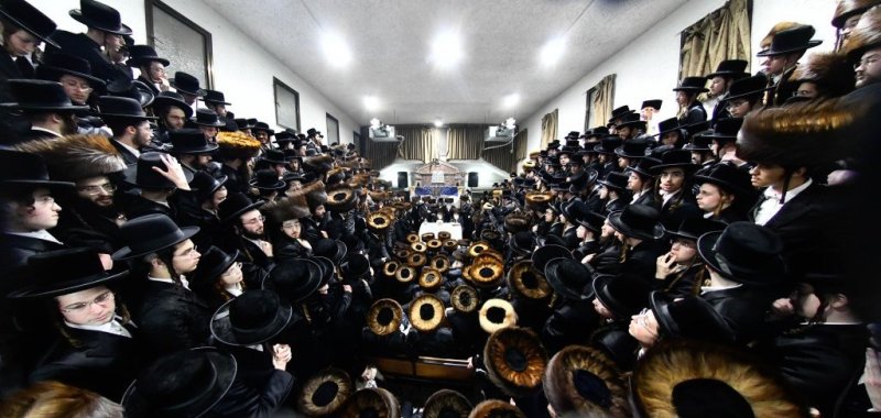 שוקי לרר