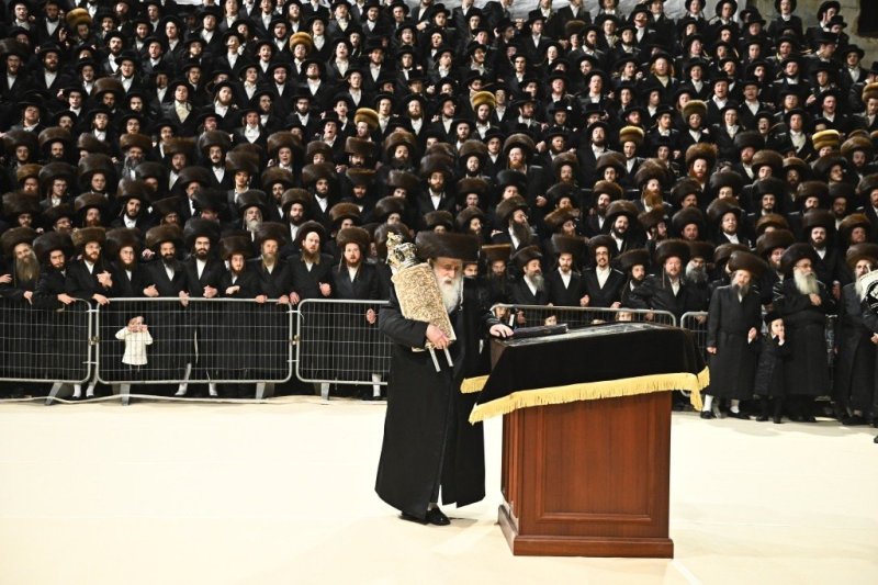 שוקי לרר