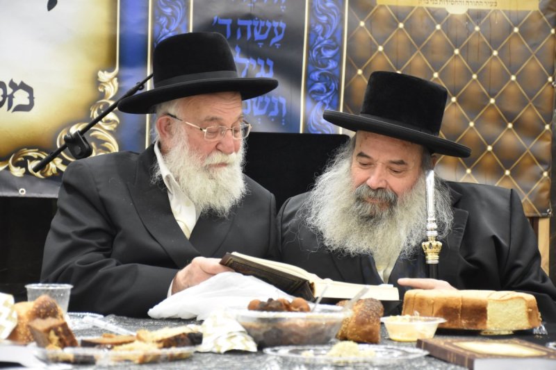יהודה פרקוביץ