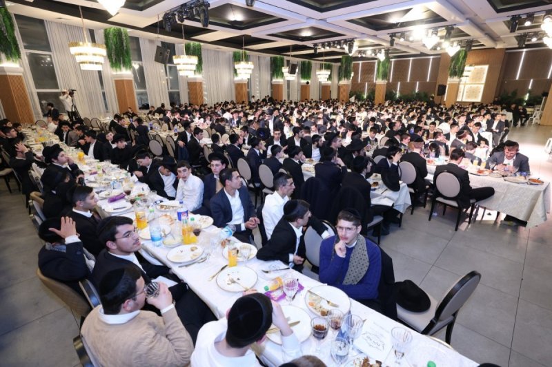 יעקב כהן