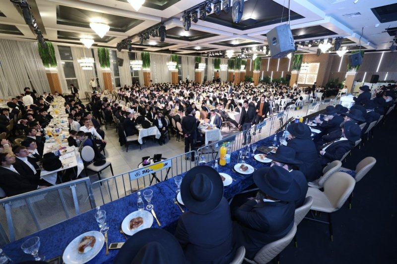 יעקב כהן