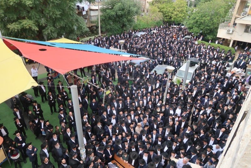 י. פריד