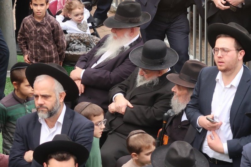 י. פריד
