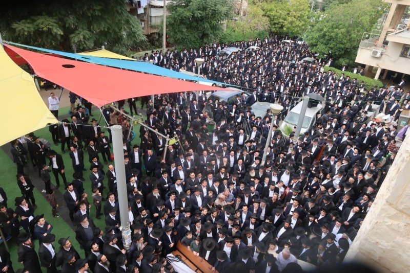 י. פריד