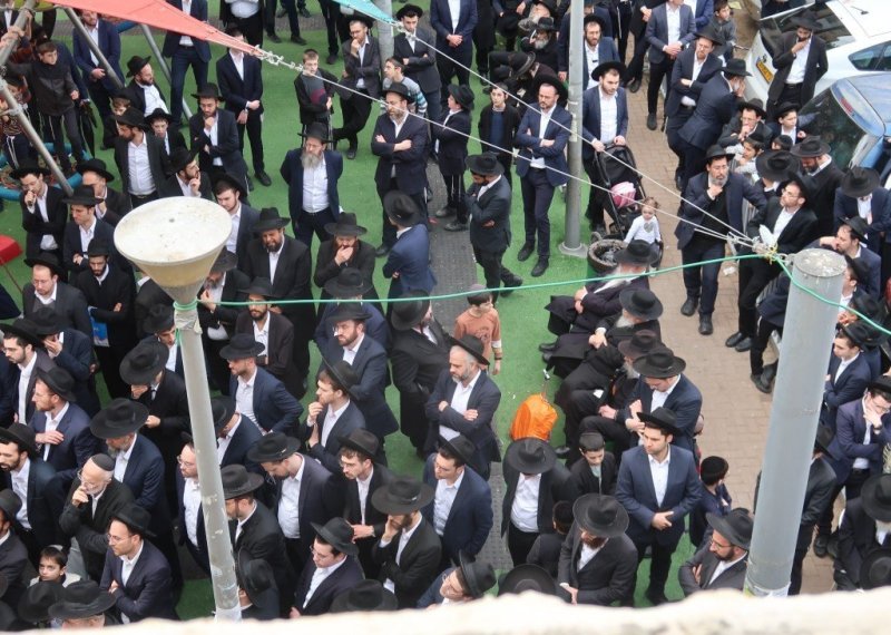 י. פריד