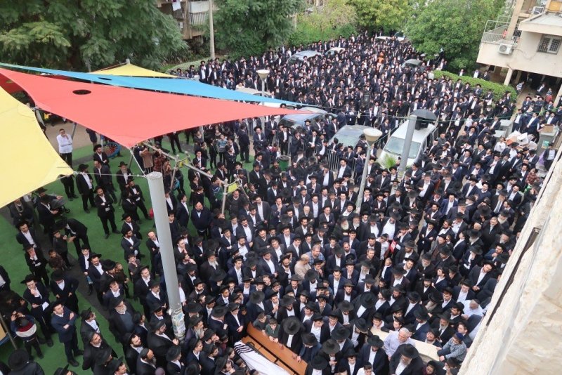 י. פריד