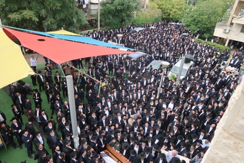 י. פריד