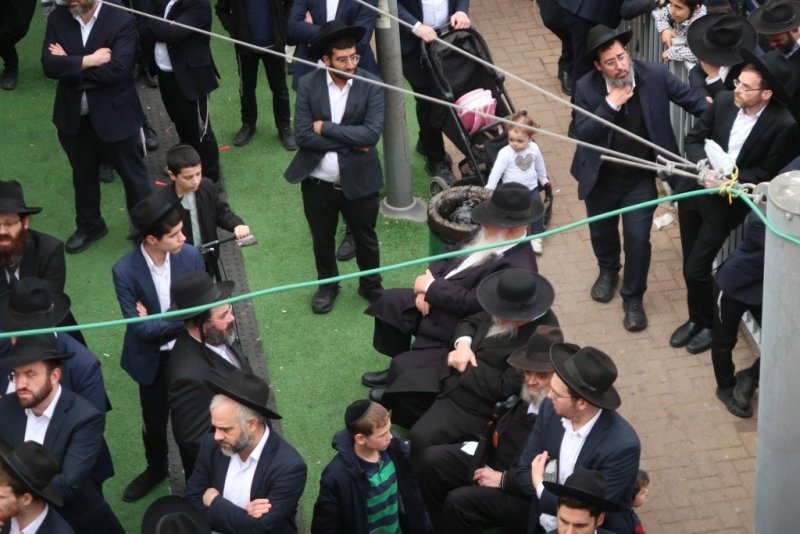 י. פריד