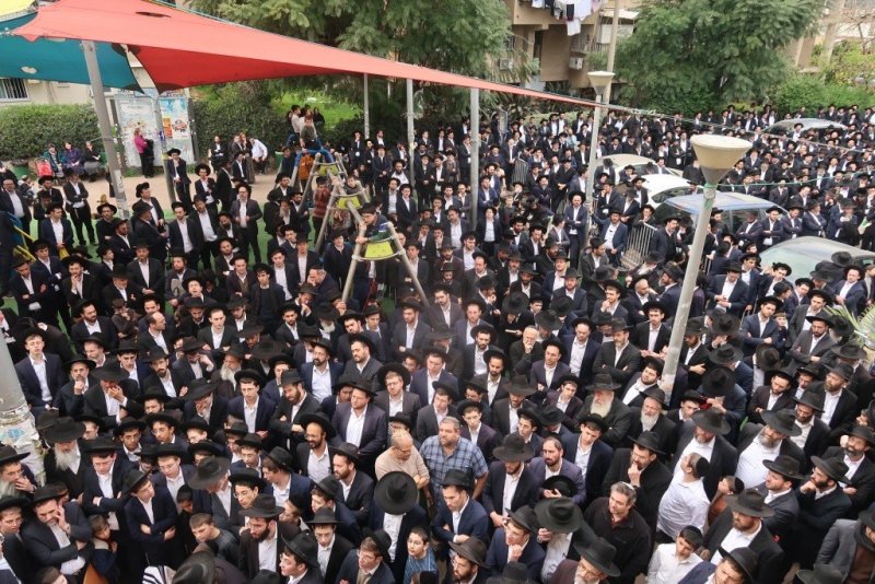 י. פריד