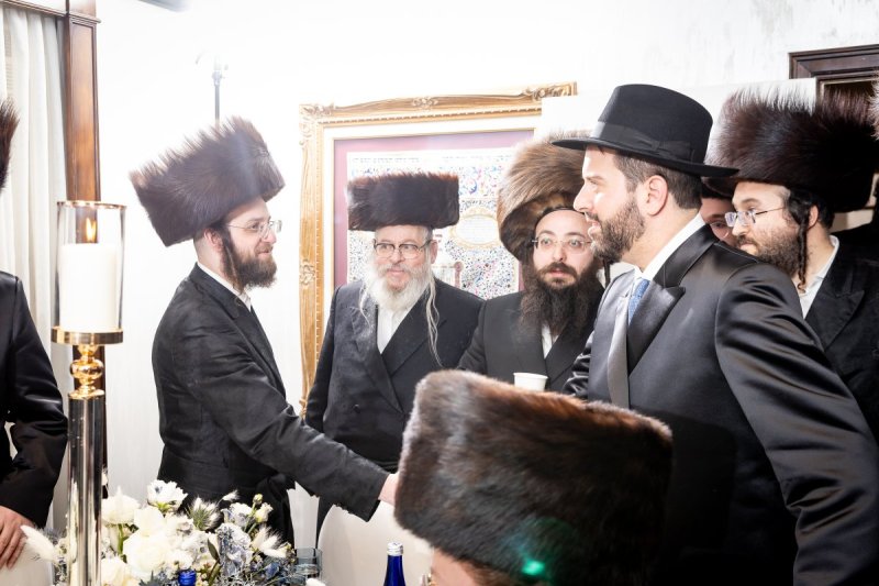 ארגון צדק