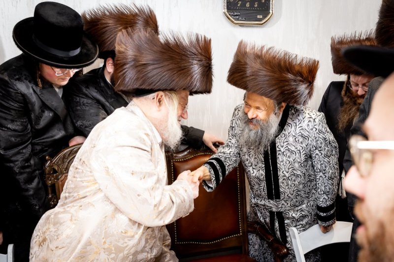 ארגון צדק