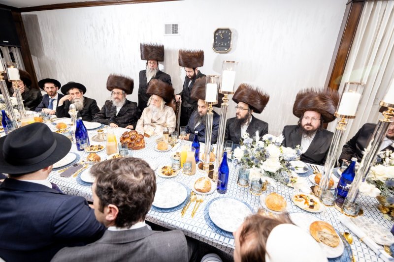 ארגון צדק