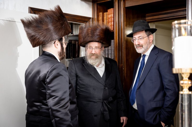 ארגון צדק