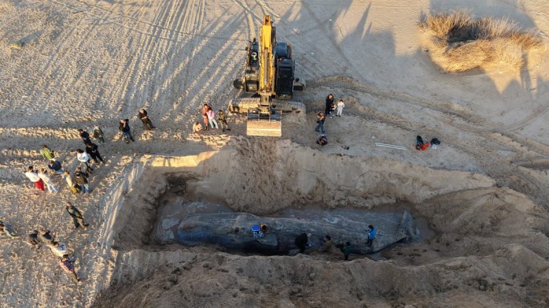 אביתר בן ארי רשות הטבע והגנים / אמנון זיו קב"ט מ.א חוף אשקלון