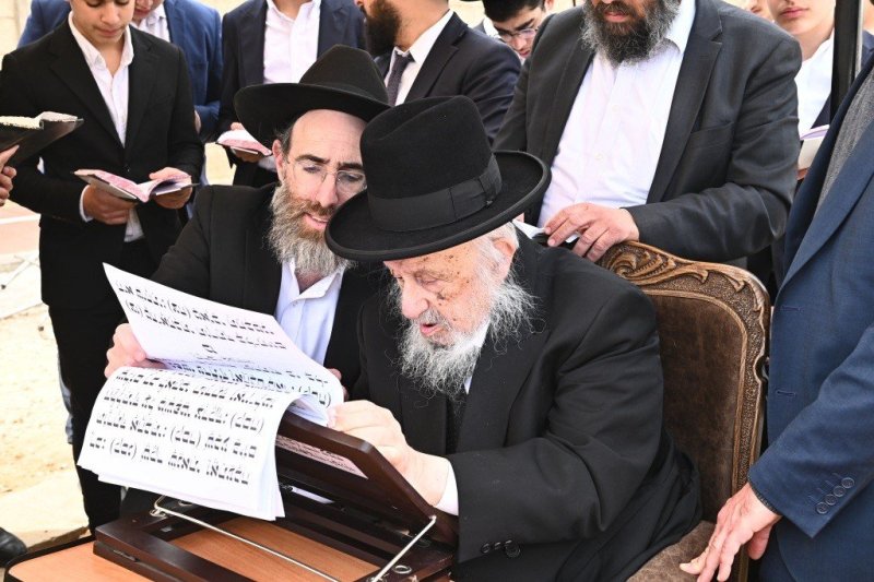 שוקי לרר