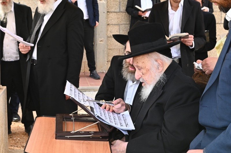 שוקי לרר