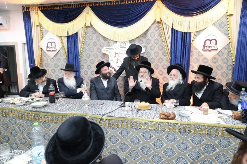 קובי הר צבי