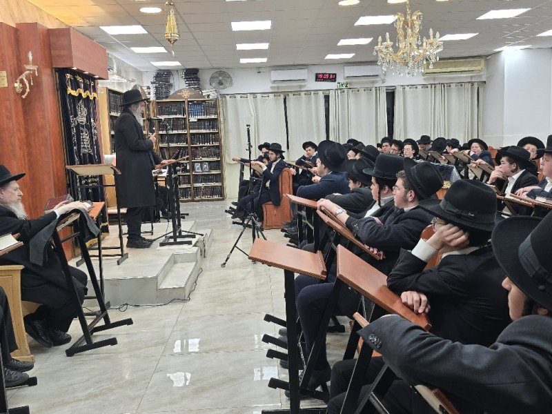 ברוך יערי