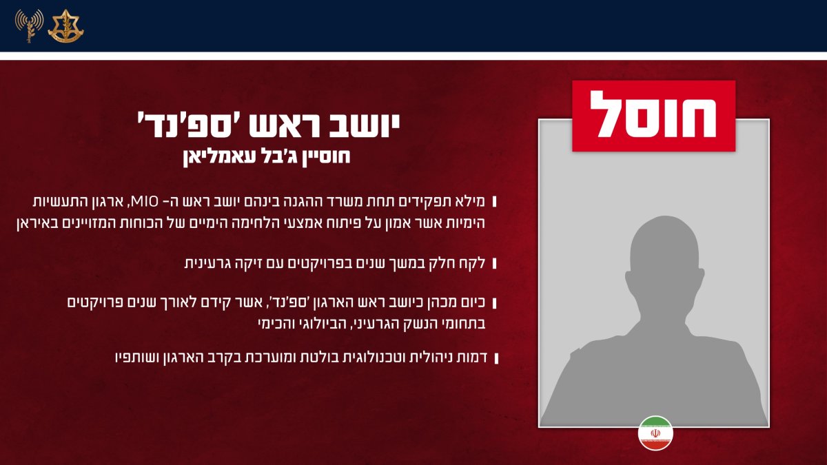 דובר צה"ל