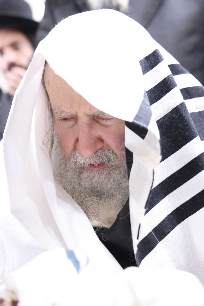 שמואל דריי