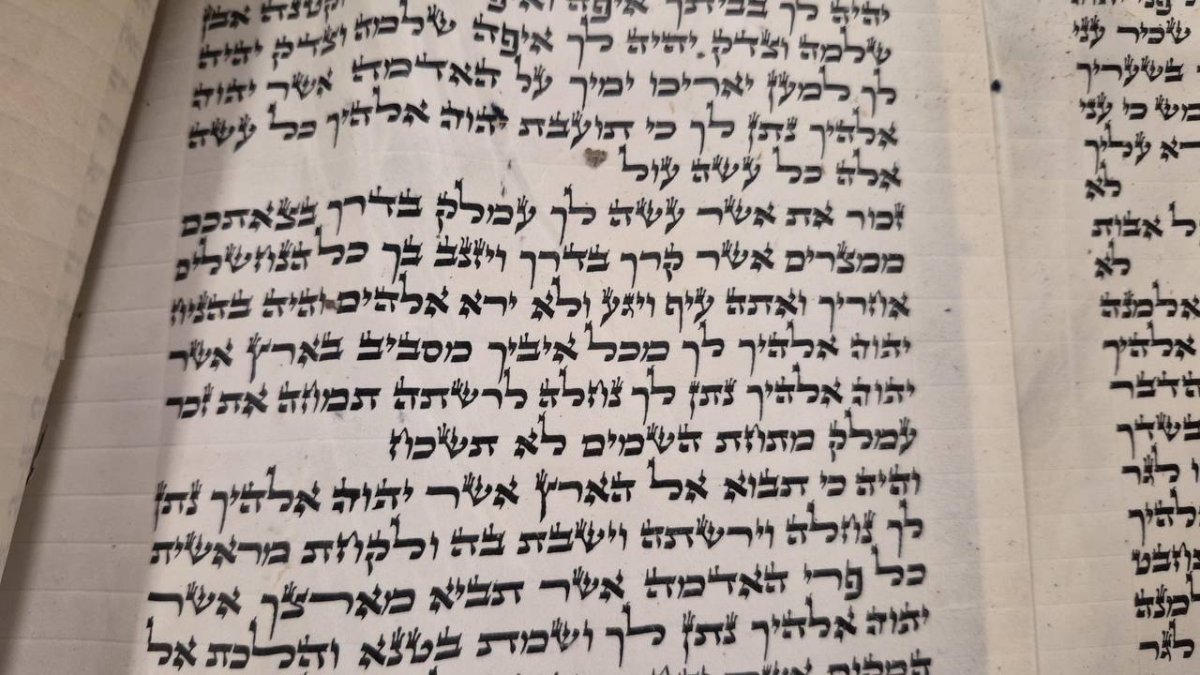 עמית סגל