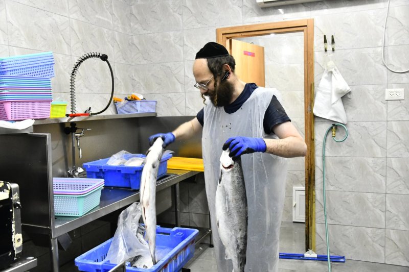 שוקי לרר
