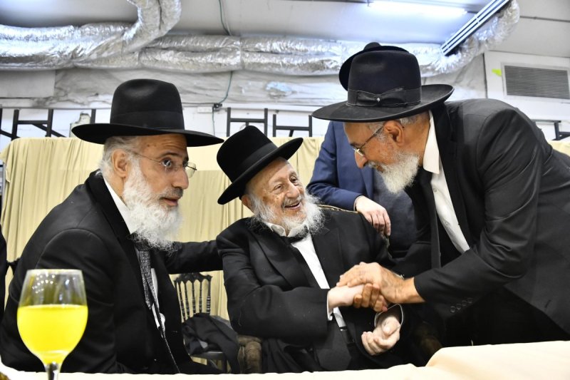שוקי לרר