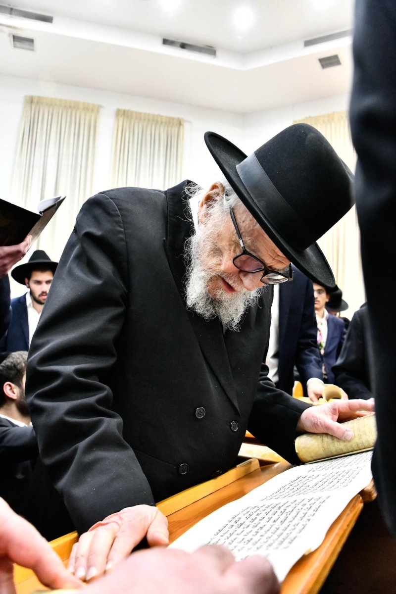 שוקי לרר