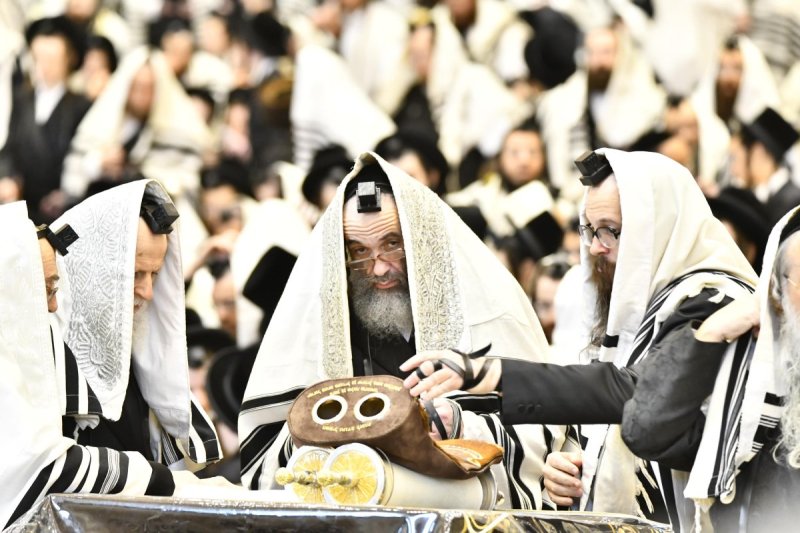שוקי לרר