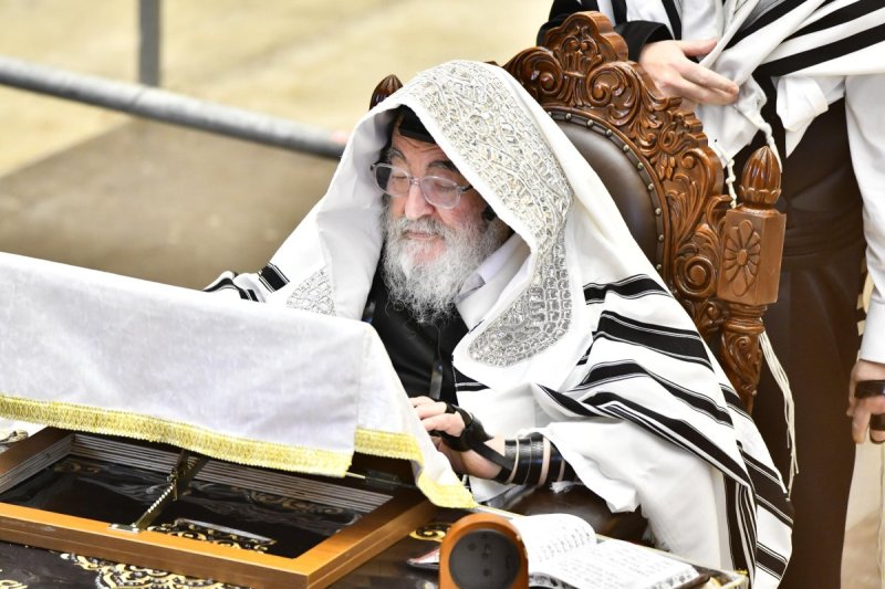 שוקי לרר