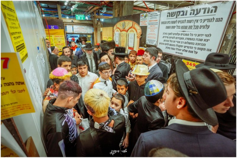 אלעזר פיינשטיין