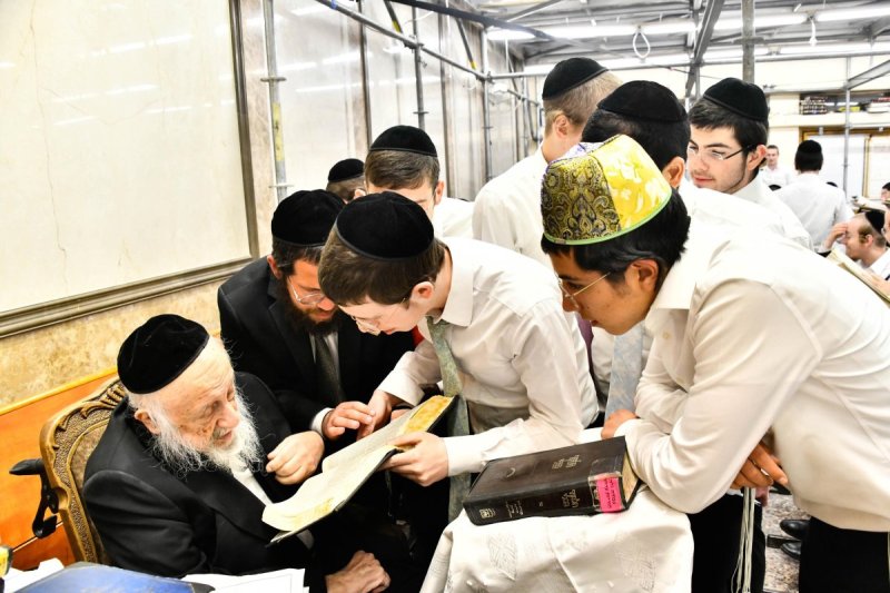 שוקי לרר