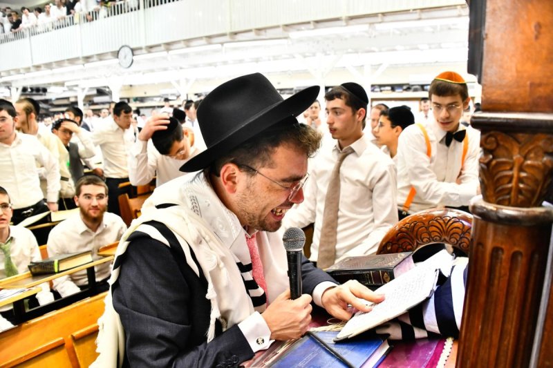 שוקי לרר