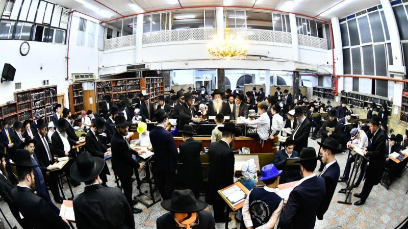 שוקי לרר