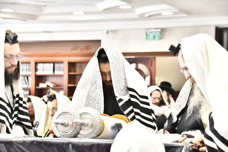 שוקי לרר