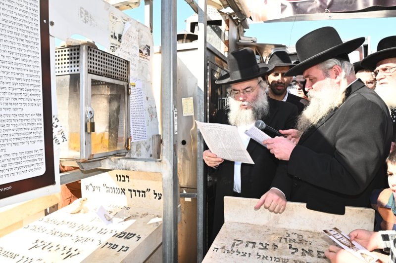 שוקי לרר