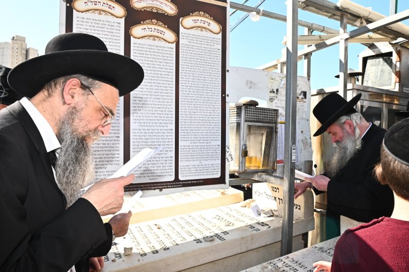 שוקי לרר