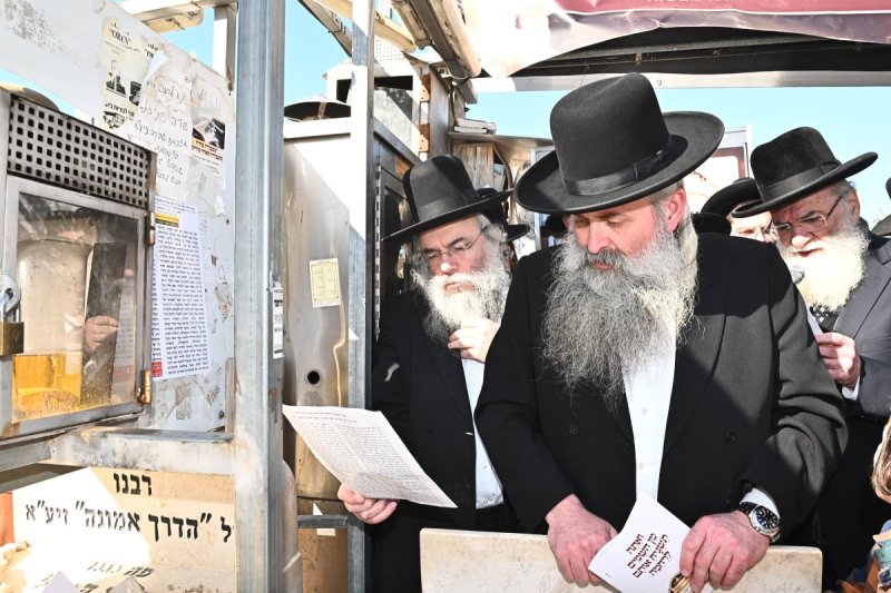 שוקי לרר