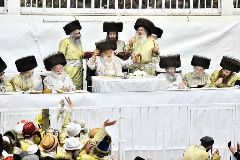 שוקי לרר