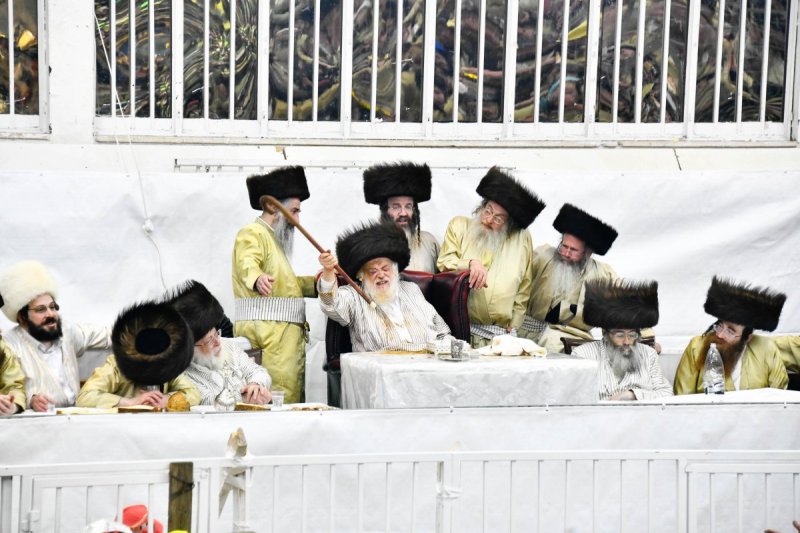 שוקי לרר